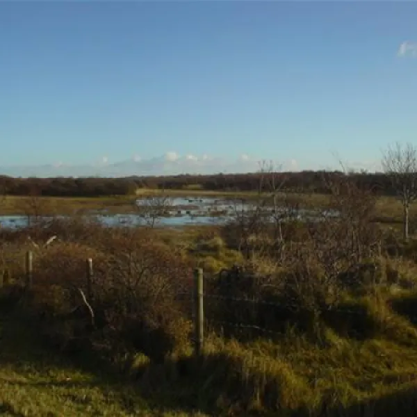 camping-oranjezon-vrouwenpolder-bv53b