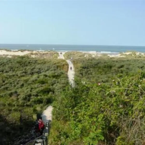 camping-oranjezon-vrouwenpolder-osvdu