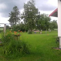 agrocamp-stara-pawlowka-przerol-l62mw