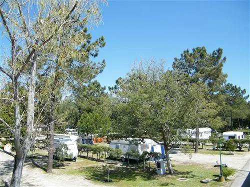 parque-de-campismo-de-vila-caia-lagoa-mira-2gpht