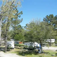 parque-de-campismo-de-vila-caia-lagoa-mira-2gpht