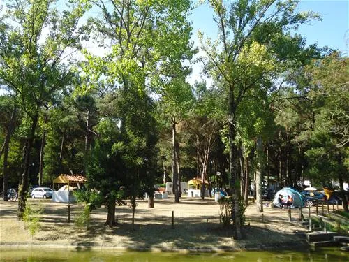 parque-de-campismo-de-vila-caia-lagoa-mira-umw67