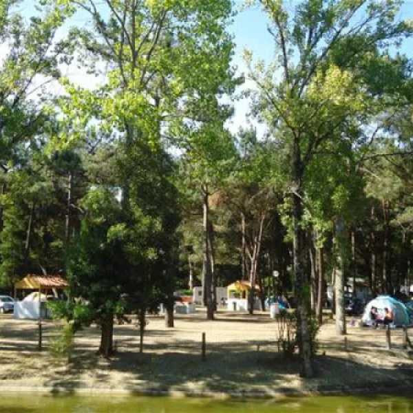 parque-de-campismo-de-vila-caia-lagoa-mira-umw67