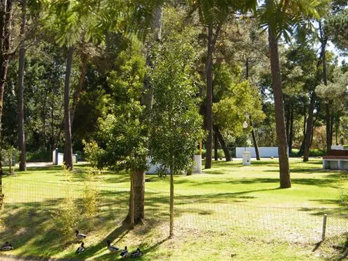 parque-de-campismo-de-vila-caia-lagoa-mira-wulkp