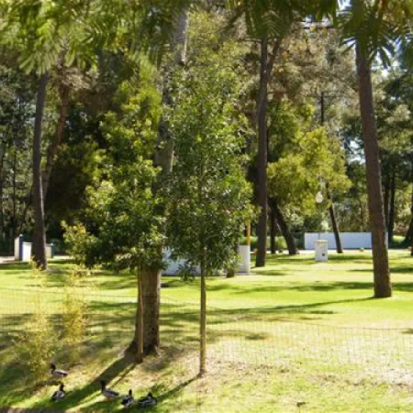 parque-de-campismo-de-vila-caia-lagoa-mira-wulkp