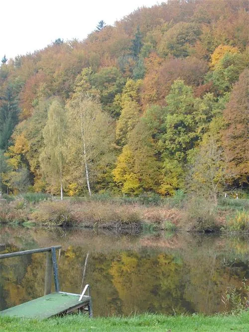 internationaler-campingplatz-naabtalpielenhofen-pielenhofen-bei-regensburg-crech