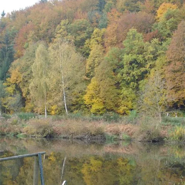 internationaler-campingplatz-naabtalpielenhofen-pielenhofen-bei-regensburg-crech