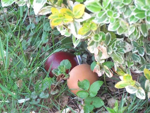 camping-altfunnixsiel-wittmundaltfunnixsiel-q0nqx