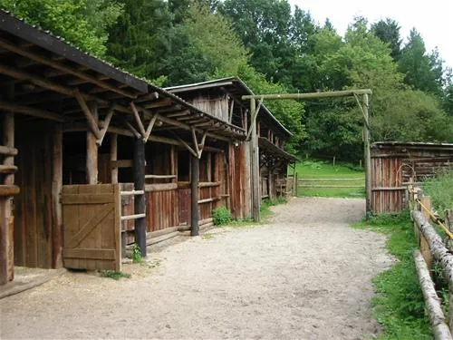 hirschsteinranch-waldsolmskraftsolms-bwd9r