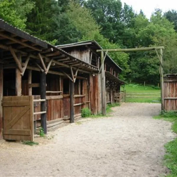 hirschsteinranch-waldsolmskraftsolms-bwd9r
