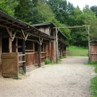 hirschsteinranch-waldsolmskraftsolms-bwd9r