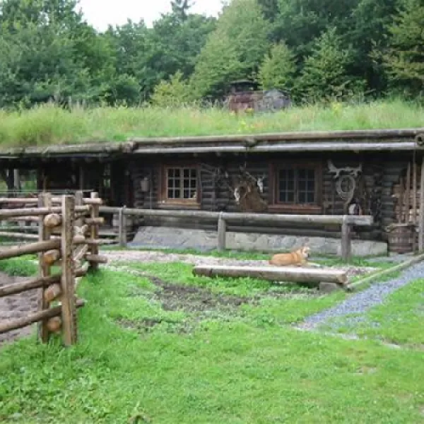 hirschsteinranch-waldsolmskraftsolms-qexh6