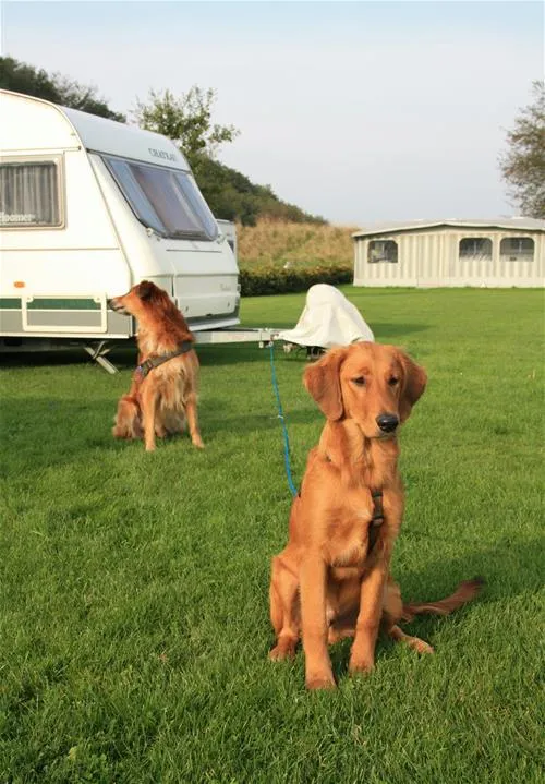 broager-strand-camping-aps-broager-tomqs