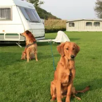 broager-strand-camping-aps-broager-tomqs