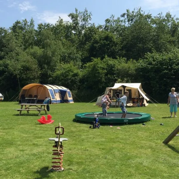 camping-het-groene-bos-zeewolde-9sjpf