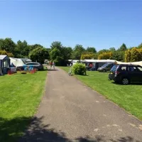 camping-het-groene-bos-zeewolde-aqwoj