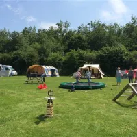 camping-het-groene-bos-zeewolde-bmhko