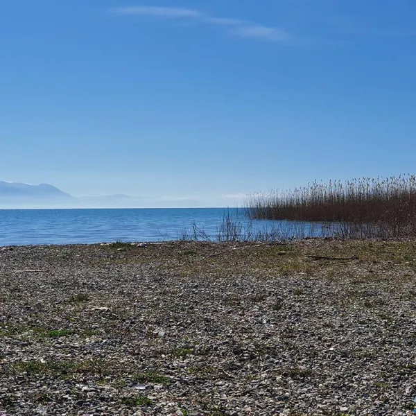 camping-scout-struga-struga-m2hlh