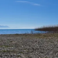 camping-scout-struga-struga-m2hlh