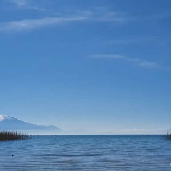 camping-scout-struga-struga-sd7r4