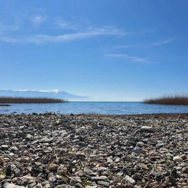 camping-scout-struga-struga-xyl0g