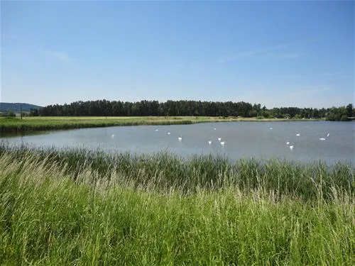 campingplatz-kauerlach-gmbh-hilpoltstein-avczn