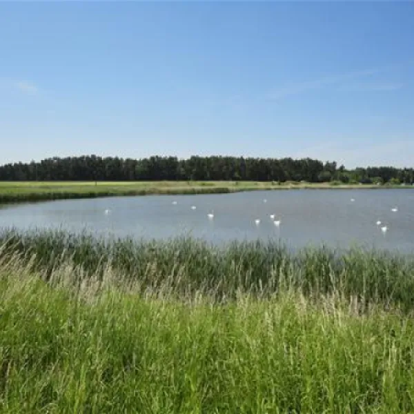 campingplatz-kauerlach-gmbh-hilpoltstein-avczn