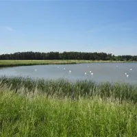 Campingplatz Kauerlach GmbH