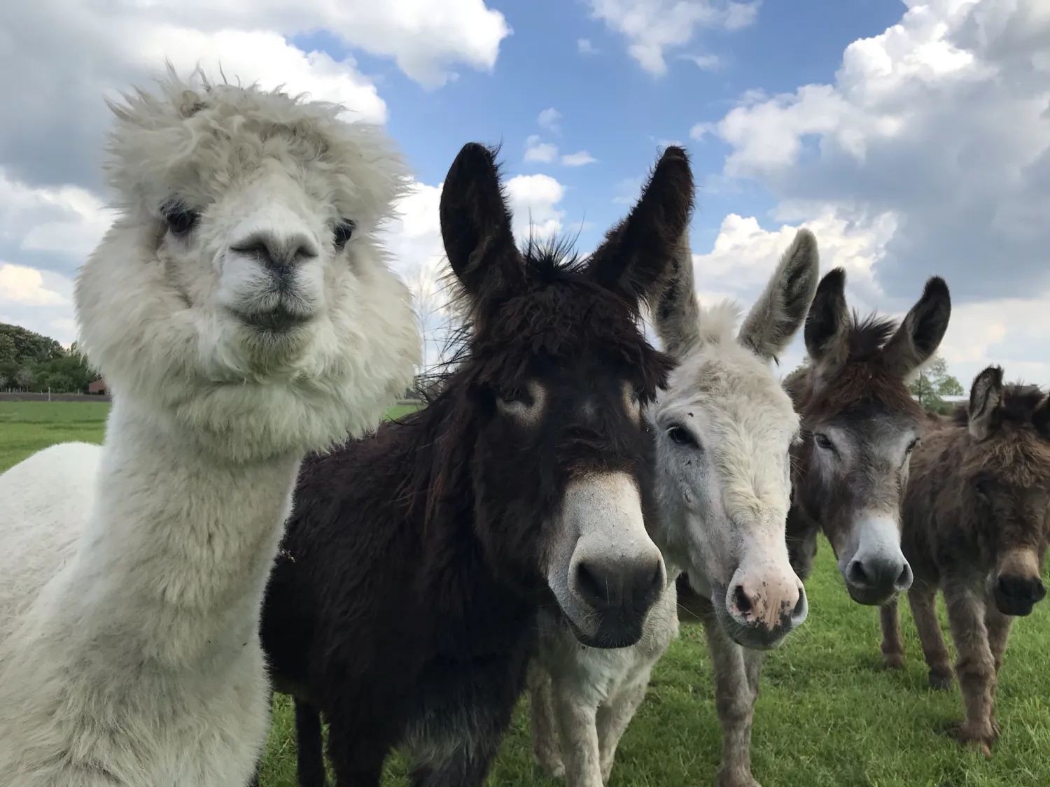boerderijcamping-kreitsberg-zeeland-moqgc