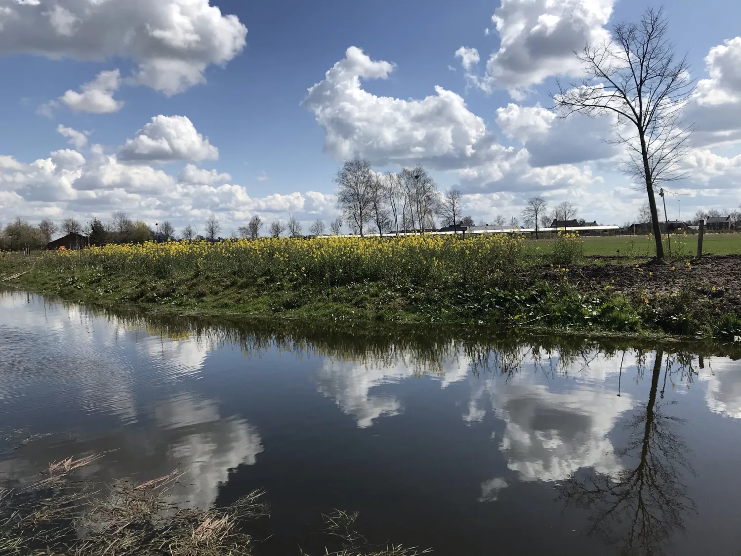 boerderijcamping-kreitsberg-zeeland-qcmhl