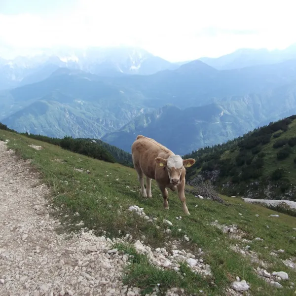 camping-breznik-turnersee-st-kanzian-gt6tu