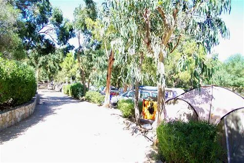 camping-bodri-corbara-80ytg