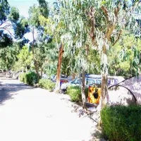 camping-bodri-corbara-80ytg