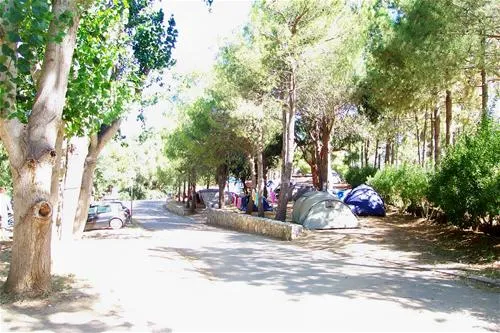 camping-bodri-corbara-iiapo
