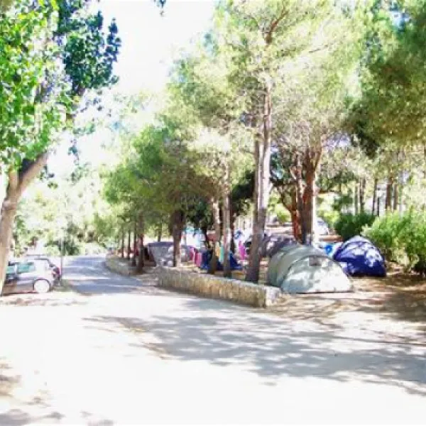 camping-bodri-corbara-iiapo