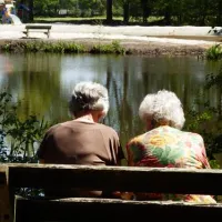 vakantiepark-diana-heide-amen-0tekt