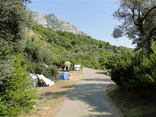 camping-sveti-stefan-sveti-stefan-jruj8