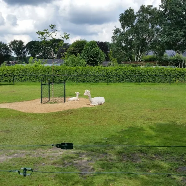 duynparc-soest-soest-hn6sy
