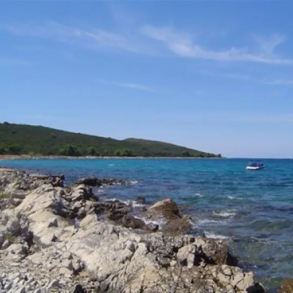 camping-porat-ugljan--susica-avocf