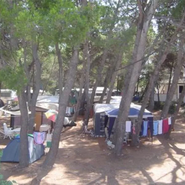 camping-porat-ugljan--susica-epbkv