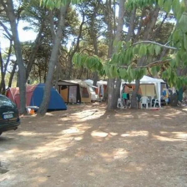 camping-porat-ugljan--susica-rzznr