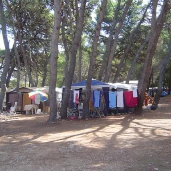 camping-porat-ugljan--susica-yeixh