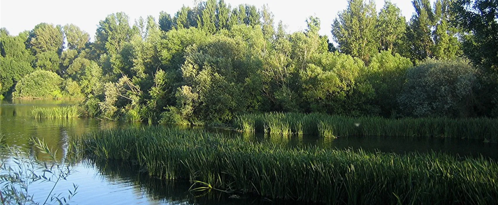 Camping Don Quijote