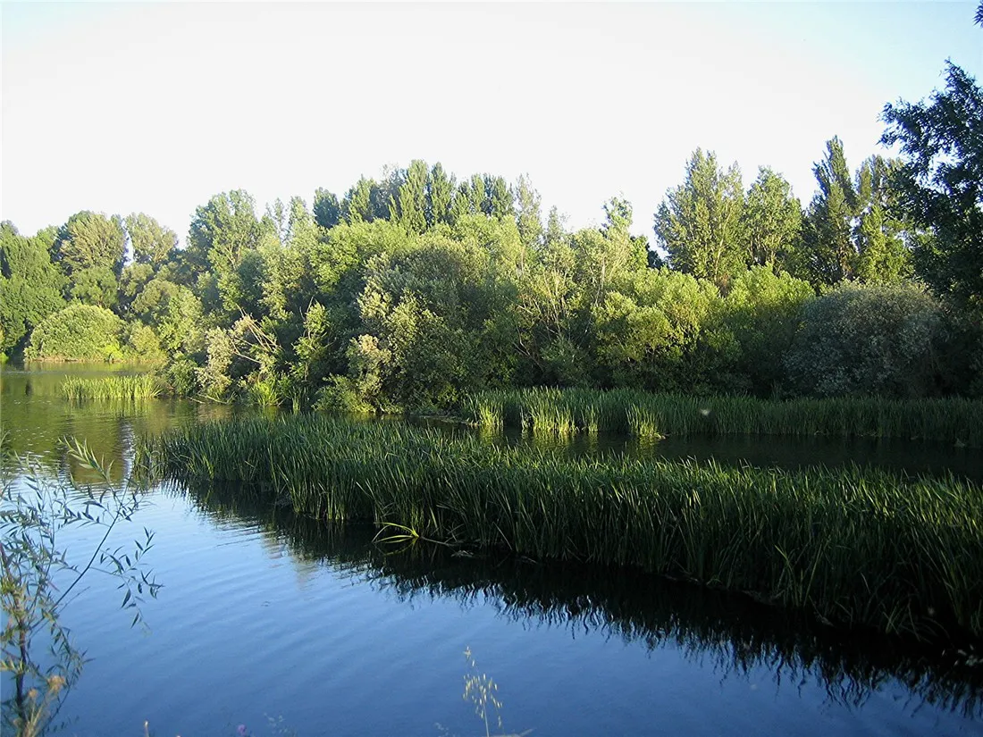 camping-don-quijote-salamanca-ydv23