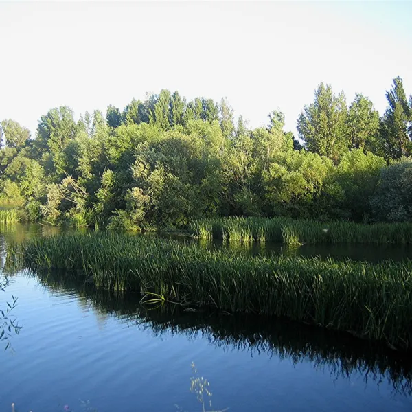 camping-don-quijote-salamanca-ydv23