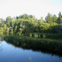 camping-don-quijote-salamanca-ydv23