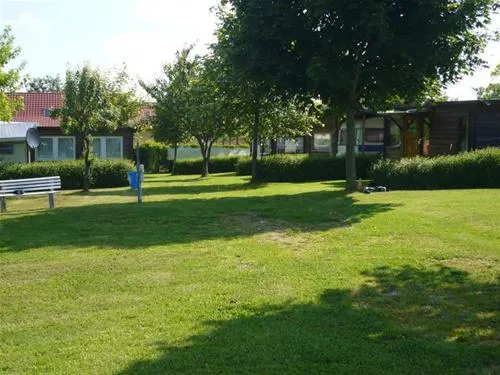 star-camp-friedland-ot-cosa-blmvu
