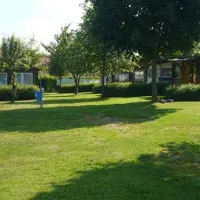 star-camp-friedland-ot-cosa-blmvu