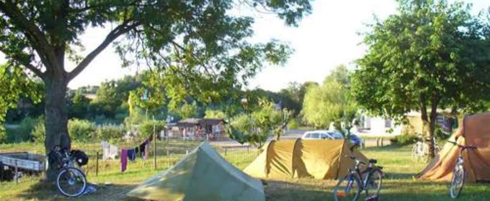 Star Camp
