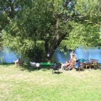 star-camp-friedland-ot-cosa-qaygs